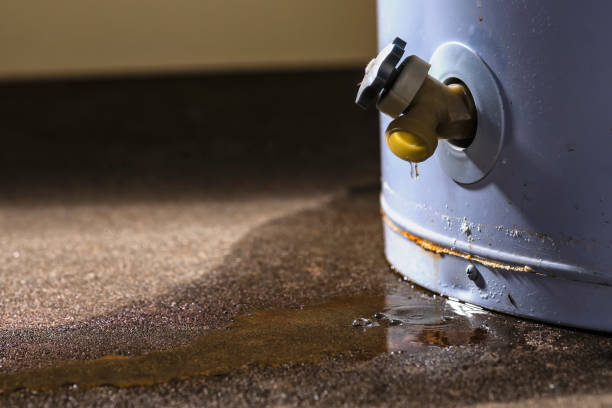 Best Carpet water damage restoration  in Kokomo, IN