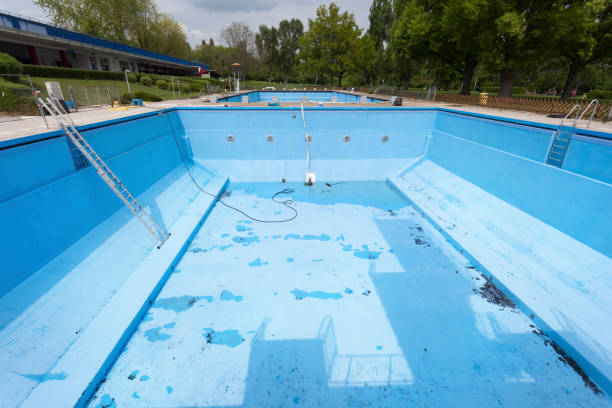 Best Basement water damage restoration  in Kokomo, IN