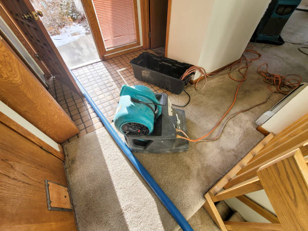 Best Water damage restoration process  in Kokomo, IN