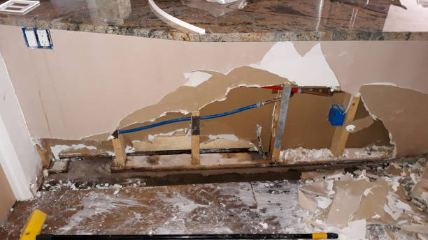 Best Water damage repair service  in Kokomo, IN