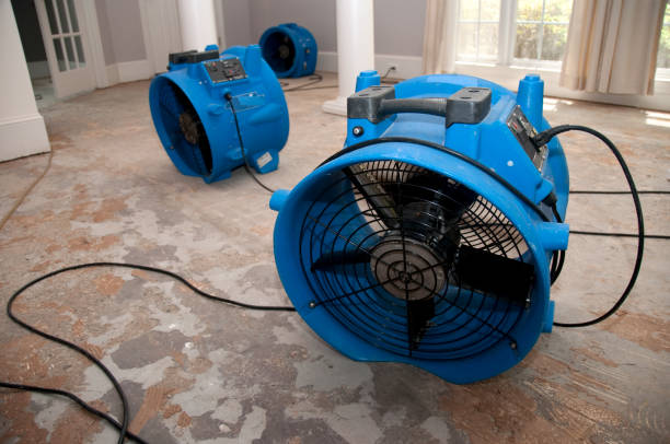 Best Water damage restoration near me  in Kokomo, IN