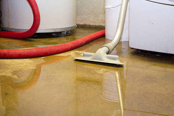 Best Water damage contractors near me  in Kokomo, IN