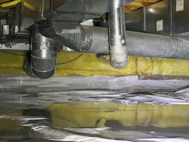 Best Water damage restoration near me  in Kokomo, IN