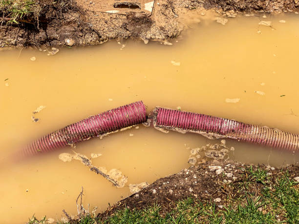 Best Flood restoration services  in Kokomo, IN